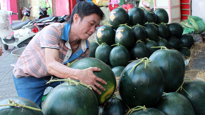 Thích thú với dưa hấu “khủng” nặng 20kg | baotintuc.vn
