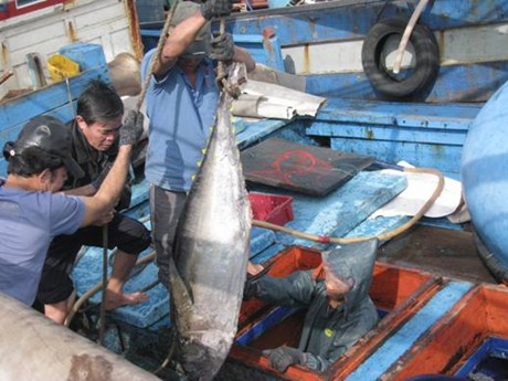 Trao Thiết Bị Câu Cá Ngừ Đại Dương Của Nhật Bản Cho Ngư Dân | Baotintuc.Vn