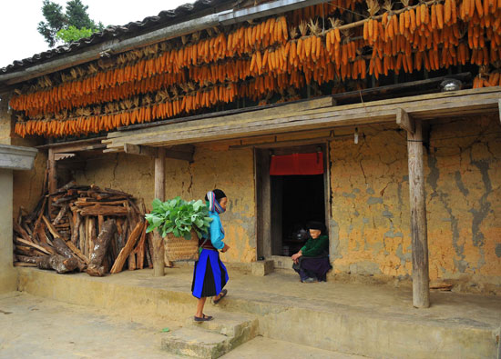 Độc đáo nhà trình tường của đồng bào Mông | baotintuc.vn
