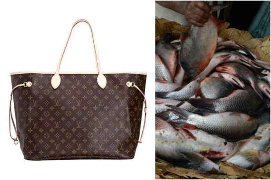 Hài hước lý do bà cụ Đài Loan dùng túi hiệu Louis Vuitton để đựng cá