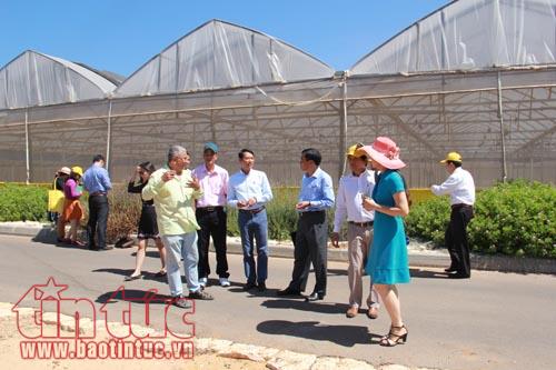 Công nghệ nông nghiệp Israel giúp nông dân Việt Nam và Đông Nam Á đổi đời
