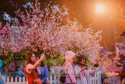 Lễ Hội Hoa Ở Việt Nam: Khám Phá Vẻ Đẹp Rực Rỡ Của Các Lễ Hội Hoa Trên Dải Đất Hình Chữ S
