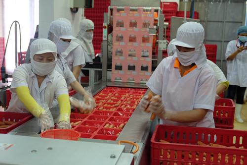 Viet Foods giới thiệu nhà máy sản xuất thực phẩm theo tiêu chuẩn quốc tế