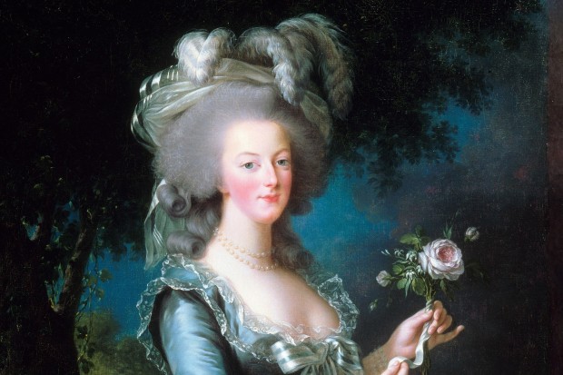 Marie Antoinette Pháp: Không thể không ngưỡng mộ vẻ đẹp kiêu sa và hoàng gia của công nương Marie Antoinette. Hình ảnh tóc dài được tạo thành từ những bím tóc và hoa cài trang trí quanh đầu của bà sẽ khiến bạn say đắm với phong cách cổ điển và quyến rũ.