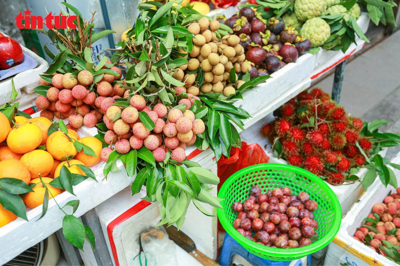 Chú thích ảnh
