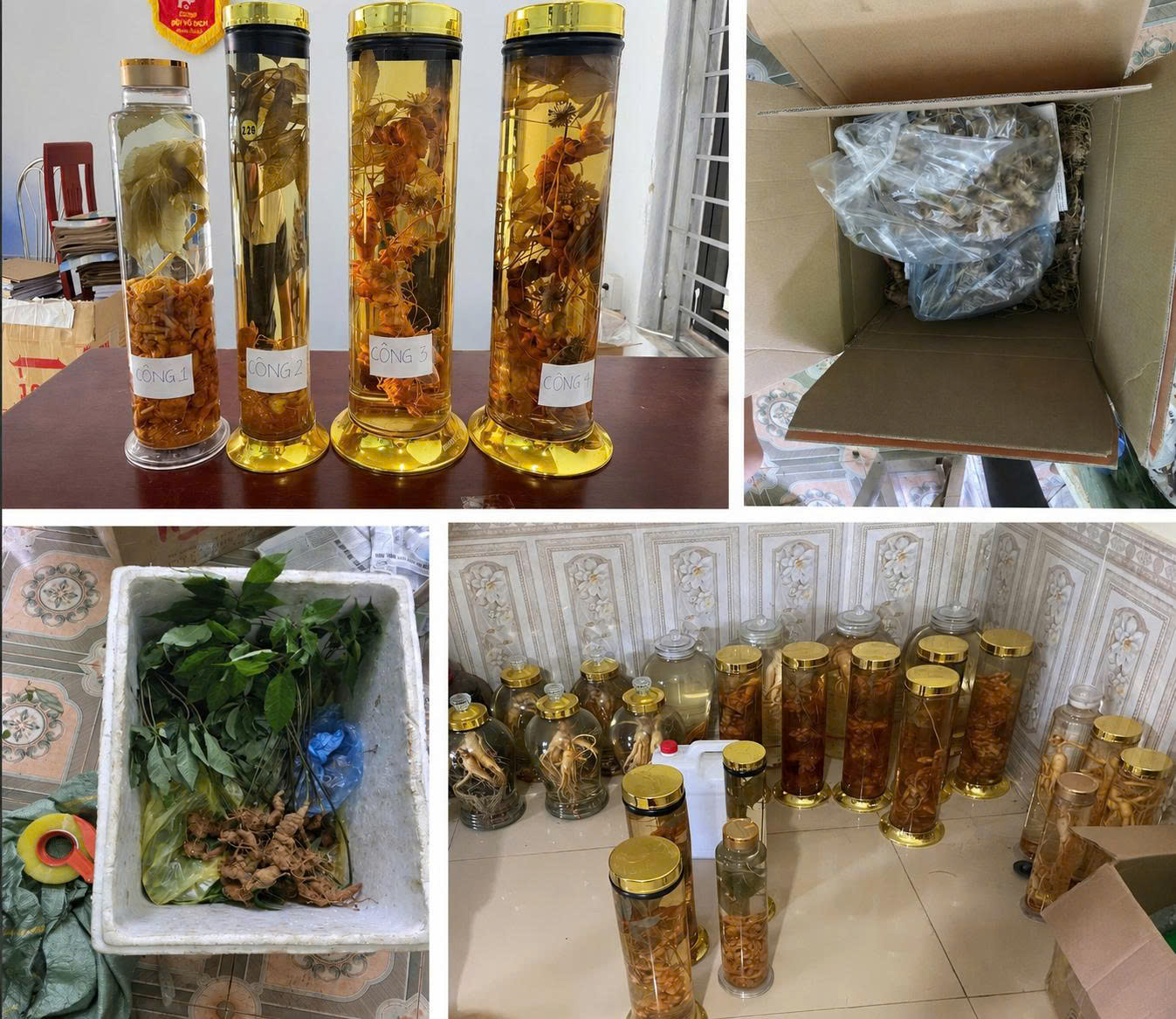 Chú thích ảnh