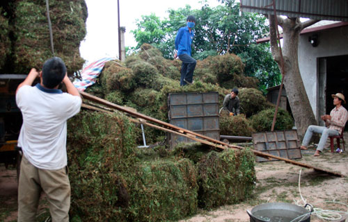 Chú thích ảnh