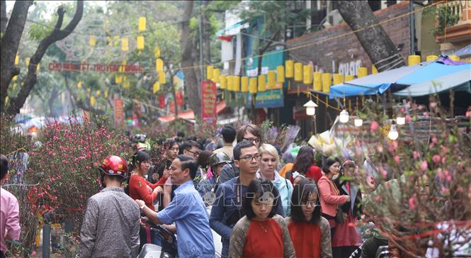 Nhộn nhịp chợ hoa truyền thống Hàng Lược (Hà Nội) ngày Tết. Ảnh tư liệu: Thanh Tùng/TTXVN