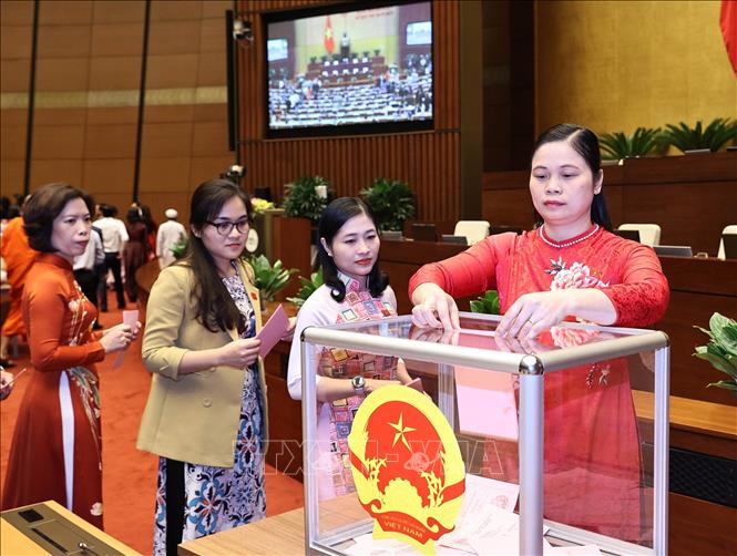 Sự tiến bộ phụ nữ Việt Nam là một điểm sáng đáng khen. Phụ nữ ngày nay đã tự tin và độc lập hơn, thể hiện qua nhiều hoạt động và giải pháp xây dựng hạnh phúc gia đình. Họ đã chứng tỏ được sự mạnh mẽ và khả năng của mình trong xã hội.
