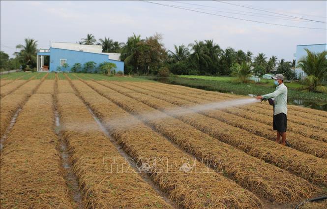 Hội LHPN xã Đề Thám trao mô hình sinh kế cho phụ nữ nghèo  TRANG THÔNG TIN  ĐIỆN TỬ XÃ ĐỀ THÁM