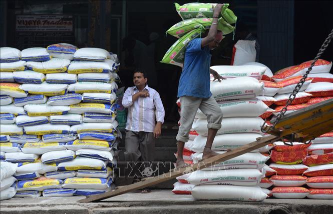 Công nhân vận chuyển gạo tại khu chợ ở Bangalore, Ấn Độ. Ảnh tư liệu: AFP/TTXVN