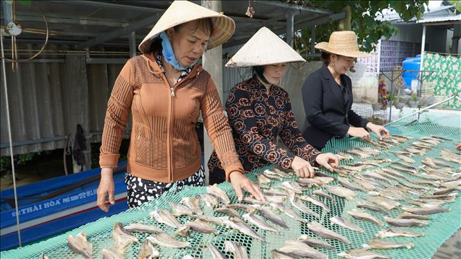 Người dân xã Đông Phong, huyện Vĩnh Thuận (Kiên Giang) phơi khô cá lóc đồng. 