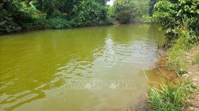 Ninh Bình: Ba trẻ tử vong do đuối nước | baotintuc.vn