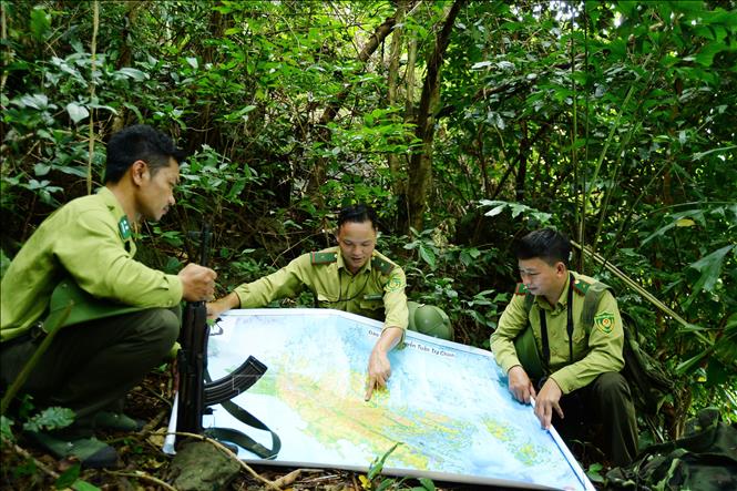 Hải Phòng: Tăng cường các biện pháp cấp bách phòng cháy, chữa cháy rừng