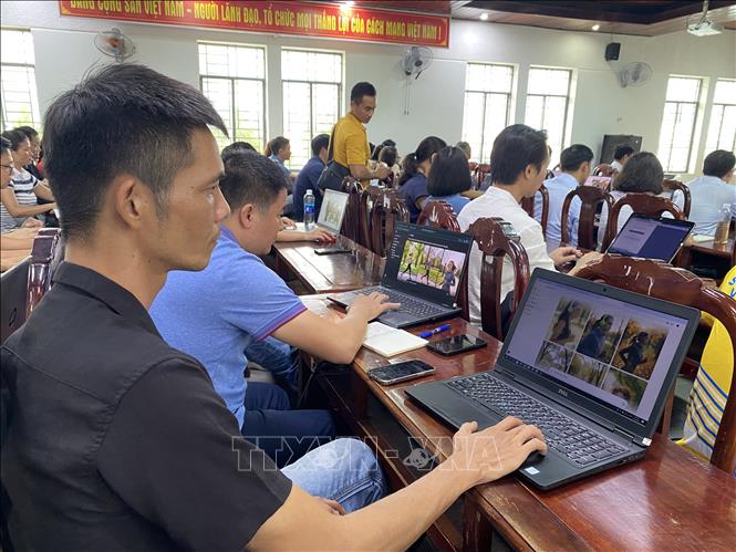 Chú thích ảnh