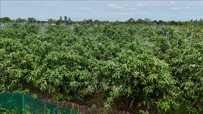 Chuyển đổi số tạo động lực phát triển nông nghiệp bền vững