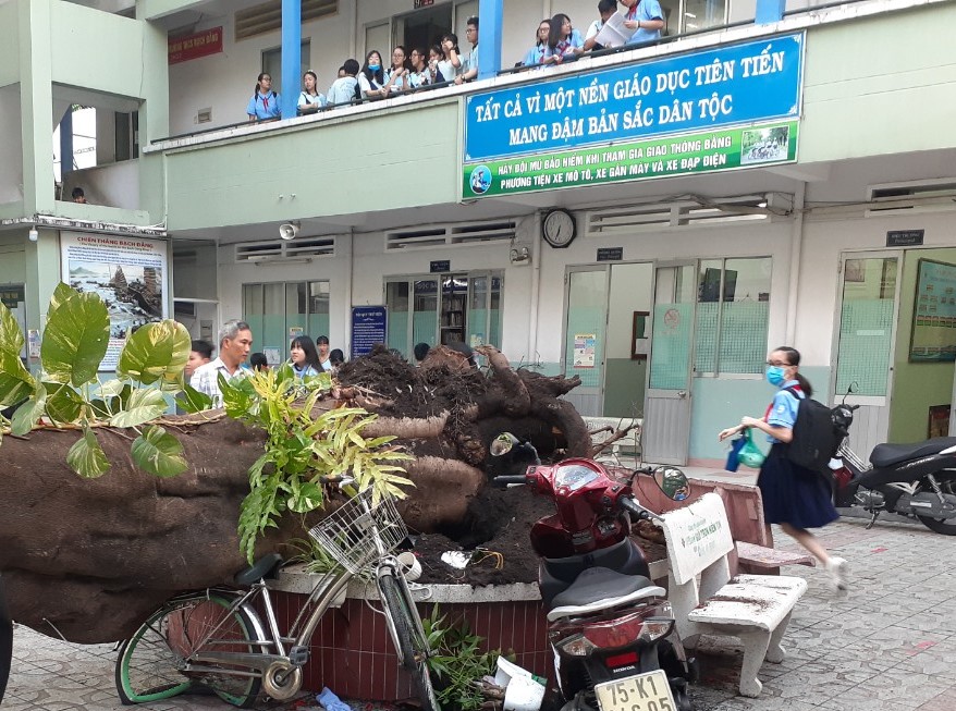 Chú thích ảnh