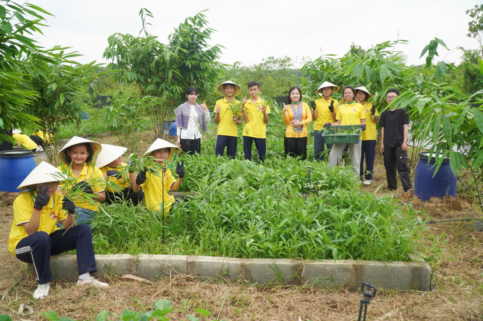 Chú thích ảnh