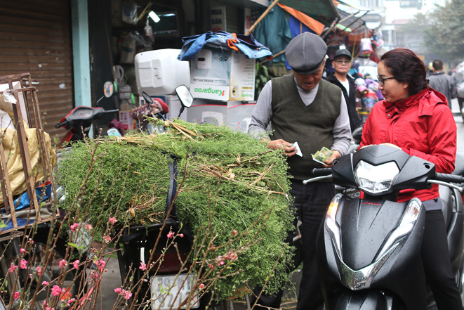 Người Hà Nội &#39;lùng&#39; mua rau mùi già tắm trước Tết | baotintuc.vn