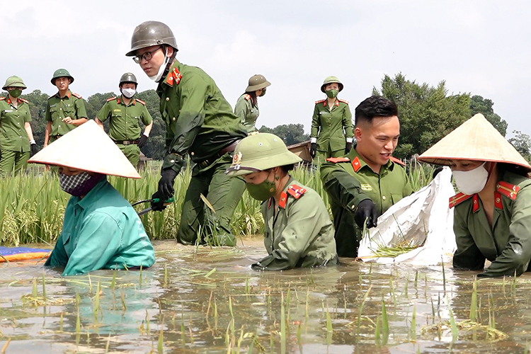 Chú thích ảnh