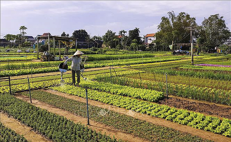 Việt Nam lần đầu đăng cai Hội nghị quốc tế về Du lịch nông thôn