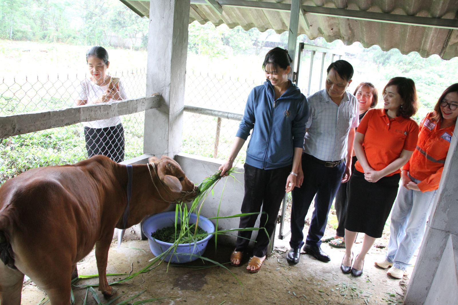 Chú thích ảnh
