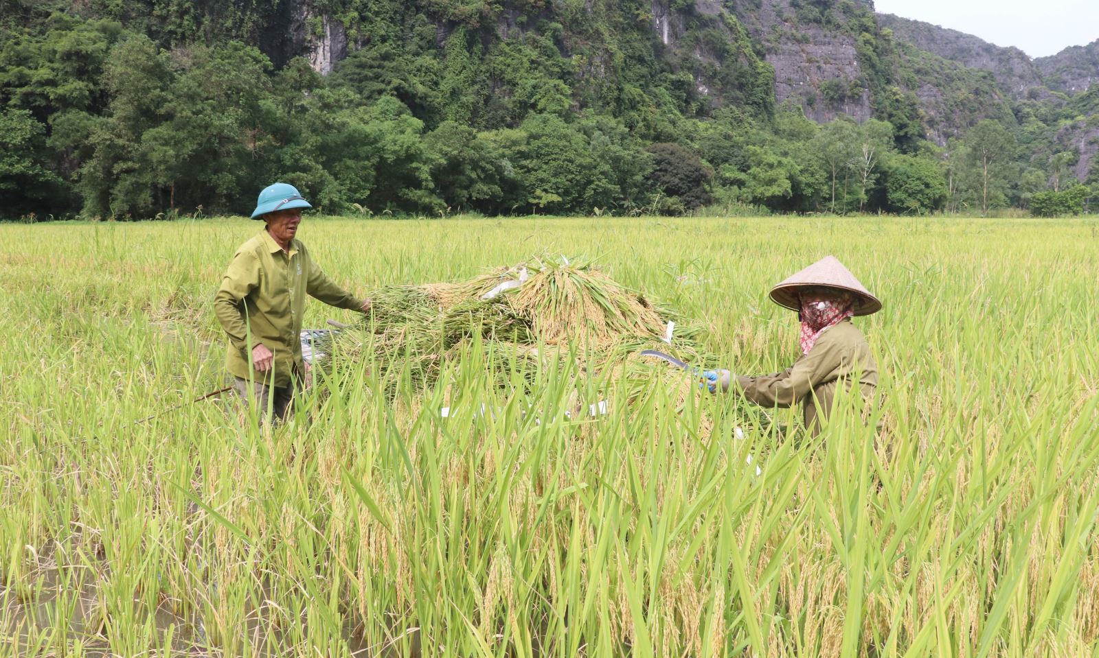Chú thích ảnh
