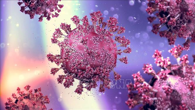 New evidence for the efficacy of T-cell-based immunotherapy