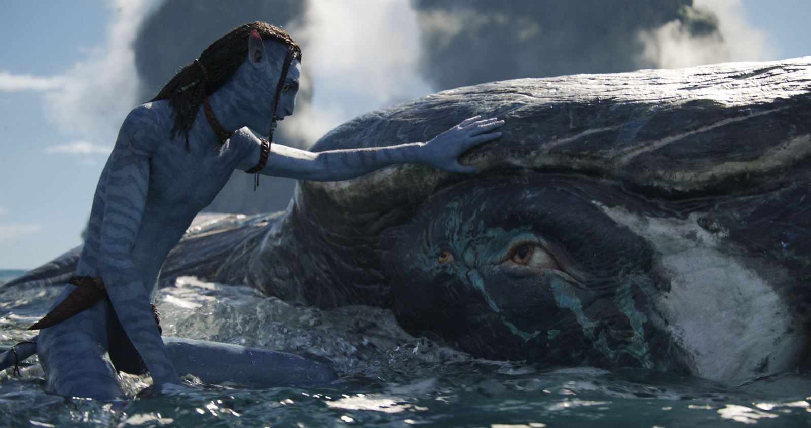 Sau khi công bố trailer đầu tiên, phải đến 2024 Avatar 2 mới ra mắt với những phản hồi tích cực của khán giả. Những hình ảnh đẹp như tranh, kỹ xảo hoàn hảo và câu chuyện đầy tình cảm của phim đã chinh phục được khán giả và tạo nên được sự kỳ vọng cho phim.