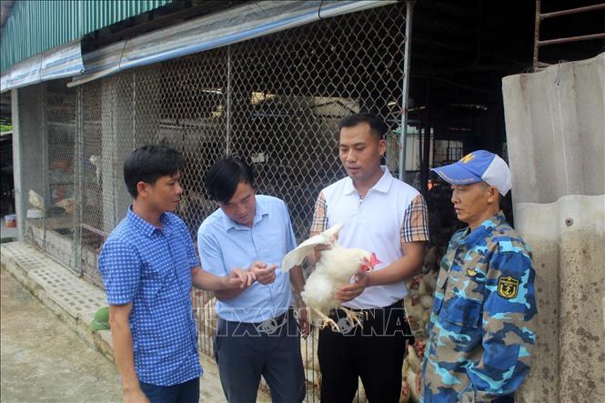 Chi tiết tin  Sở Nông nghiệp và Phát triển nông thôn  Quảng Bình