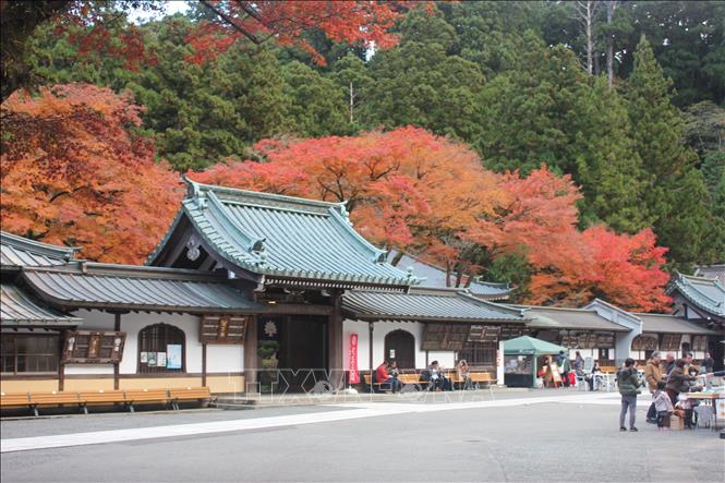 Vẻ đẹp kỳ bí của ngôi chùa Nhật Bản hơn 600 tuổi trong thời tiết Thu