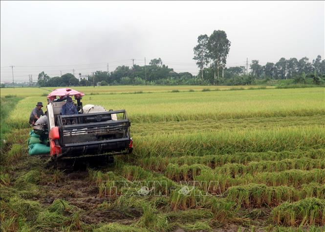 Từ miền 'quê lúa' đến điểm sáng phát triển của vùng Đồng bằng Bắc Bộ