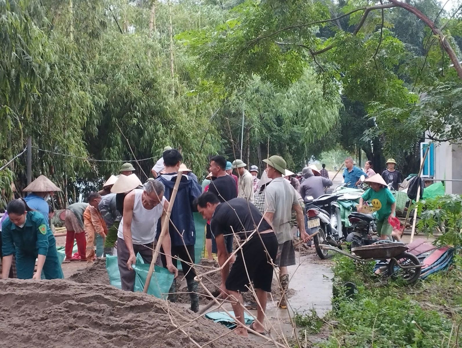 Chú thích ảnh
