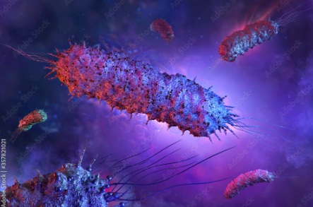 Miếng dán virus tiêu diệt 99.9% vi khuẩn trong thực phẩm 