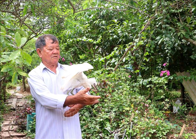 Chú thích ảnh