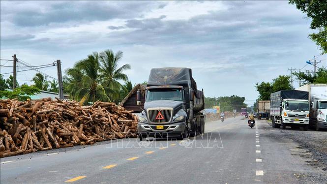 Cần xử lý dứt điểm việc tập kết gỗ ở hành lang an toàn giao thông trên quốc lộ 22B