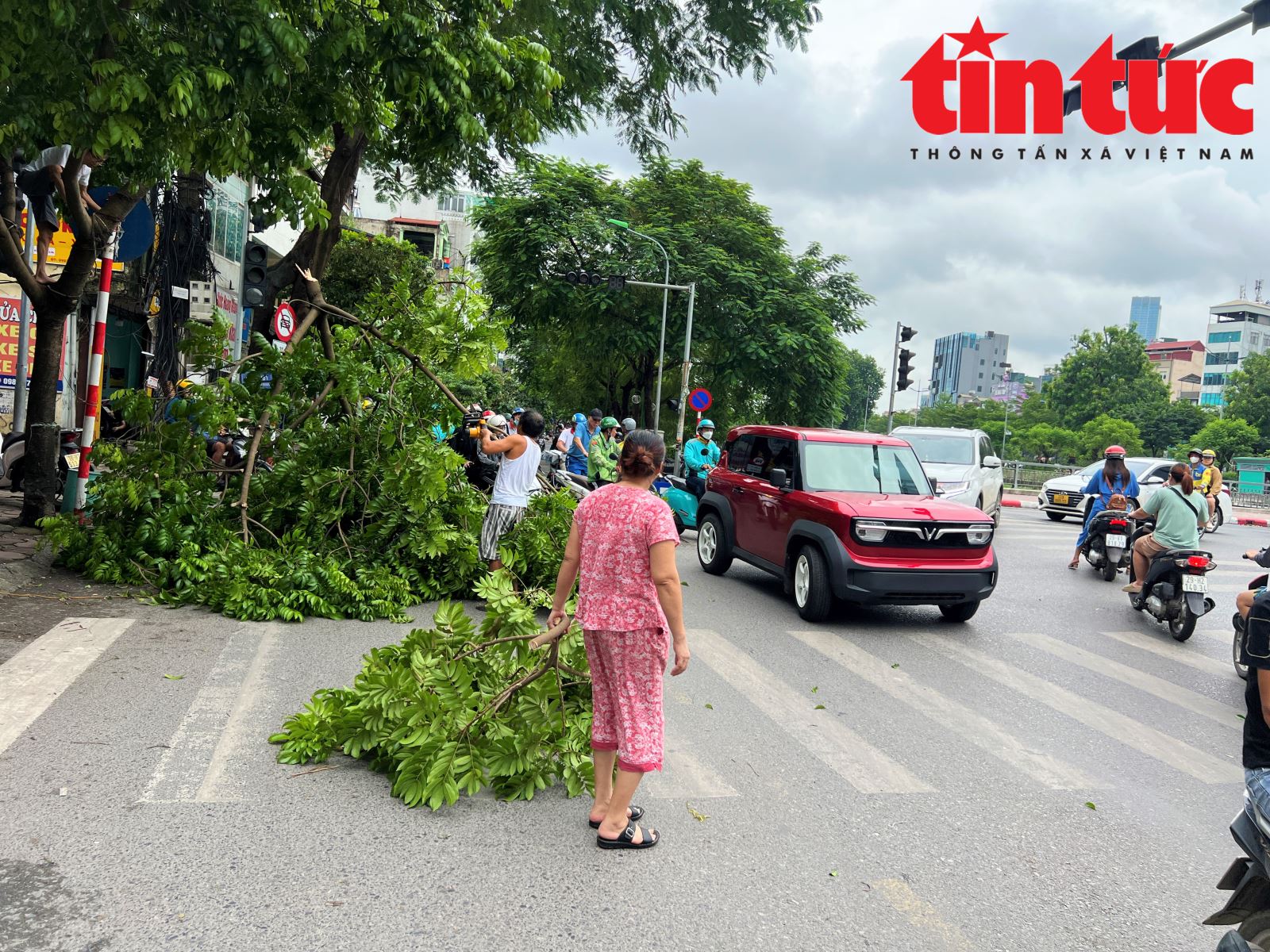 Chú thích ảnh