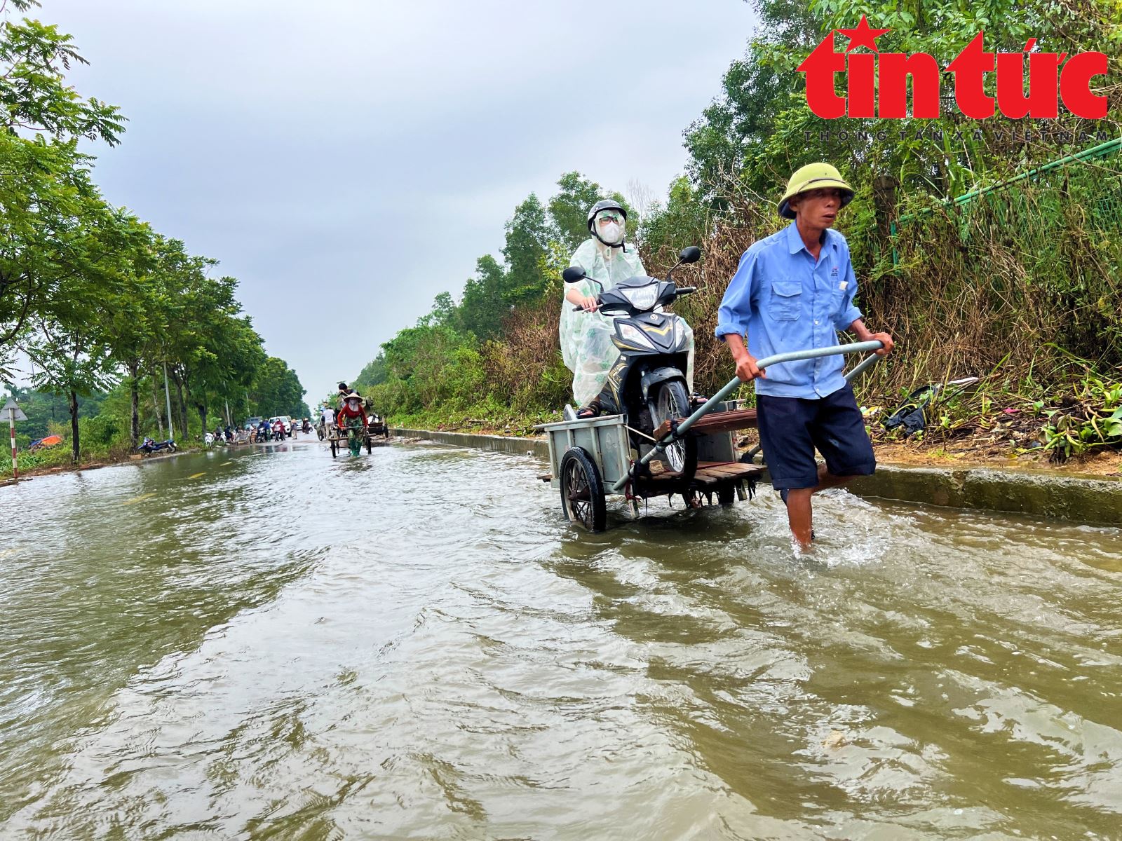 Chú thích ảnh