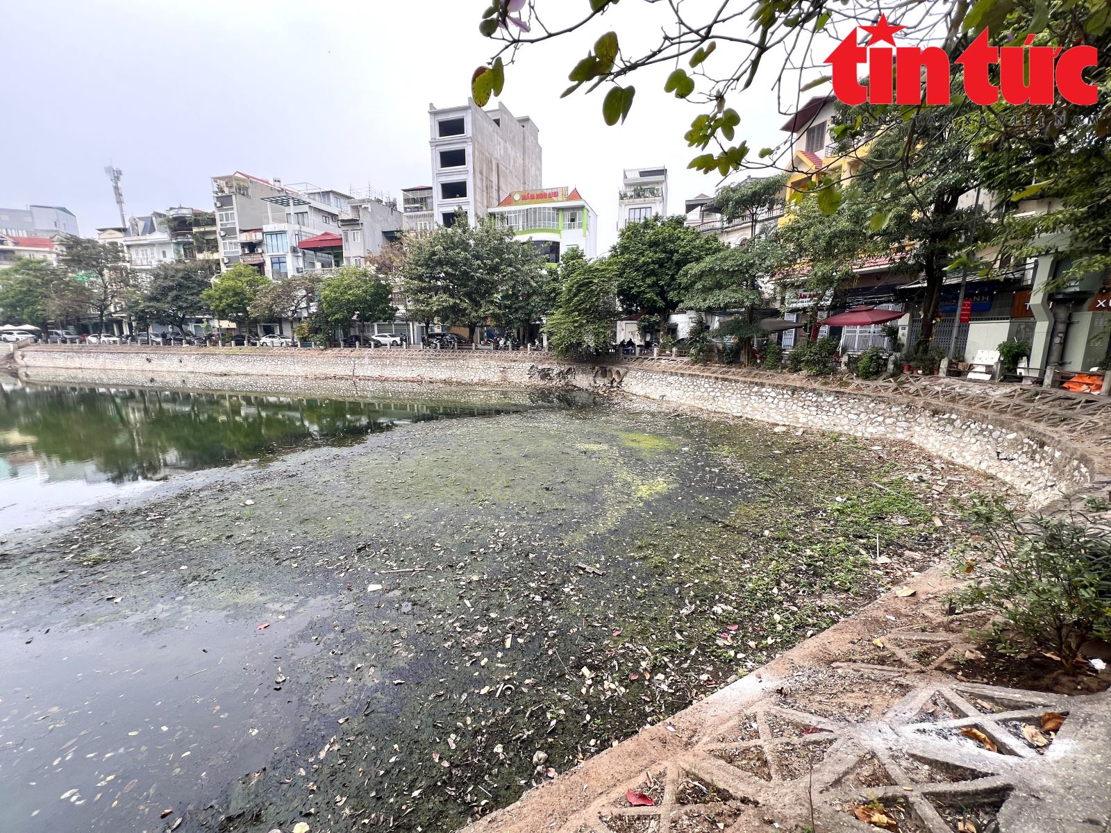 Chú thích ảnh