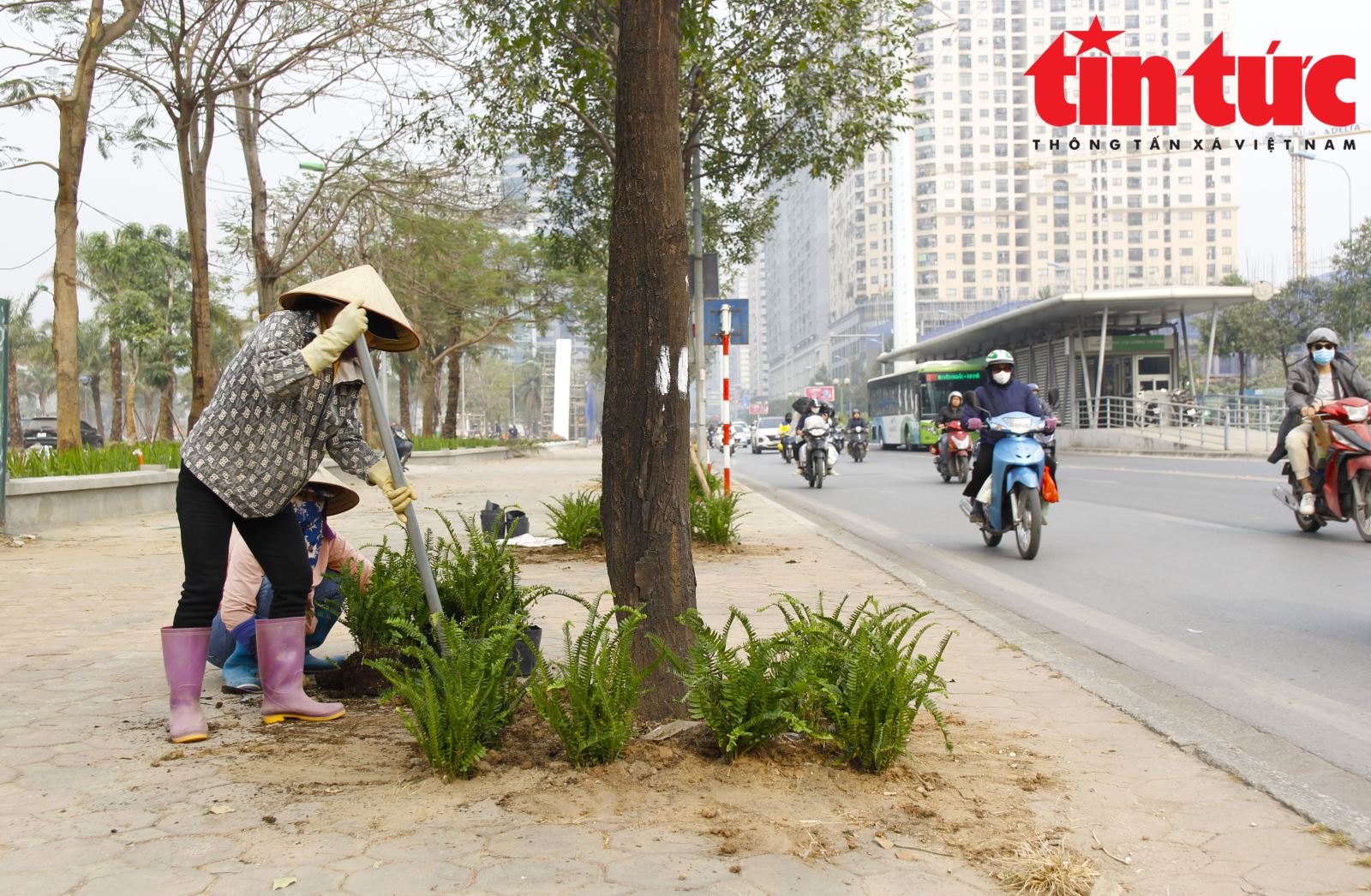 Chú thích ảnh