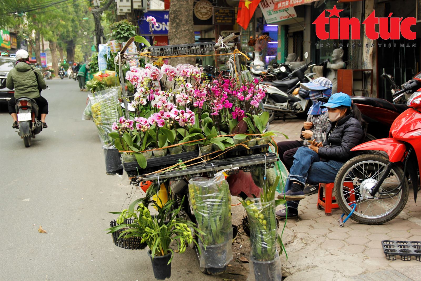 Chú thích ảnh