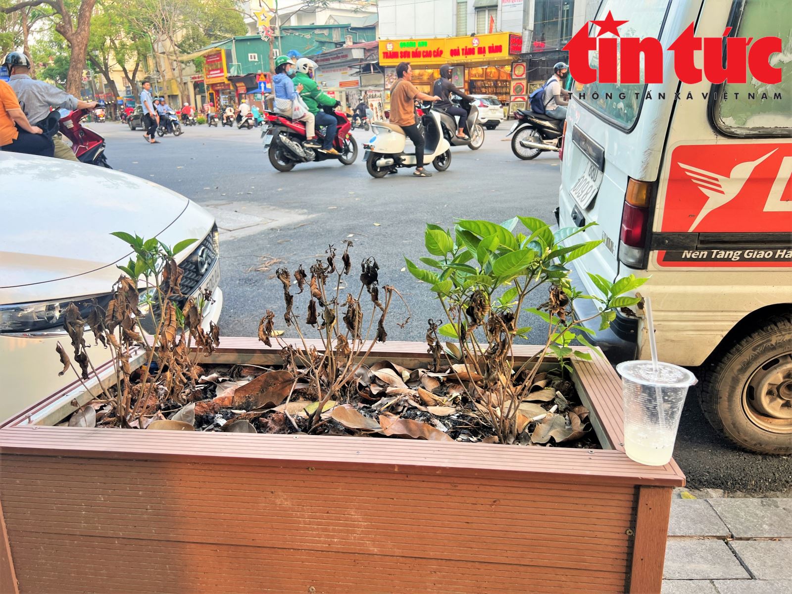 Chú thích ảnh