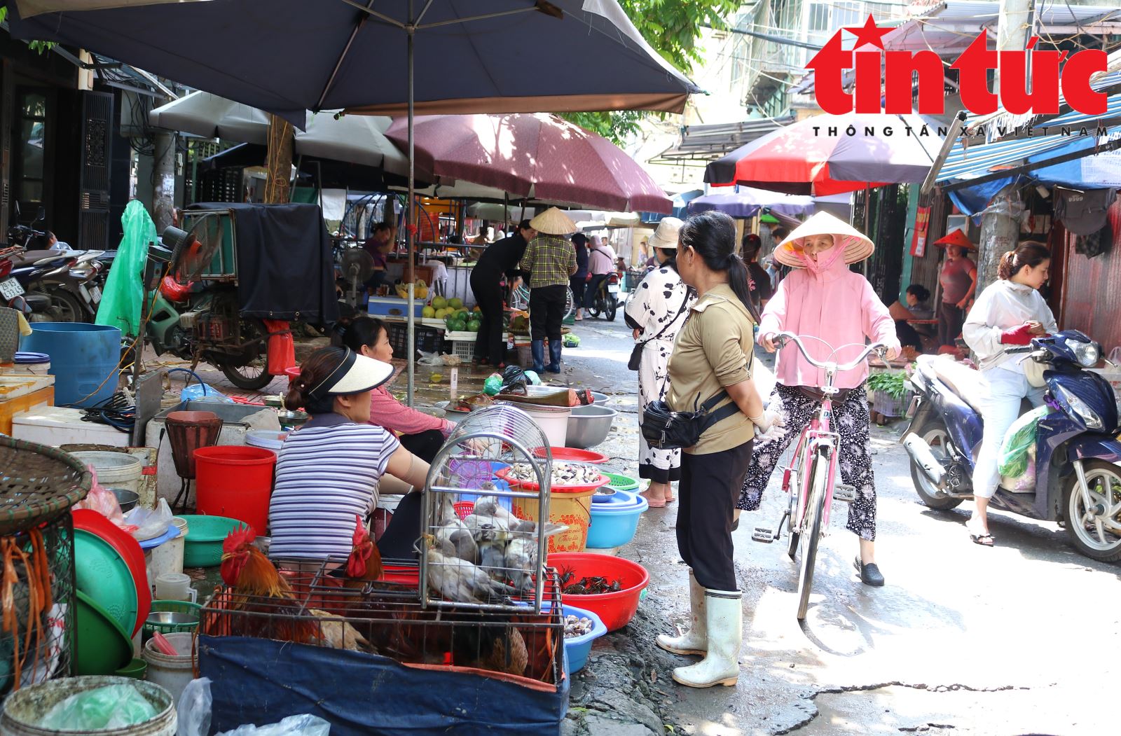 Chú thích ảnh