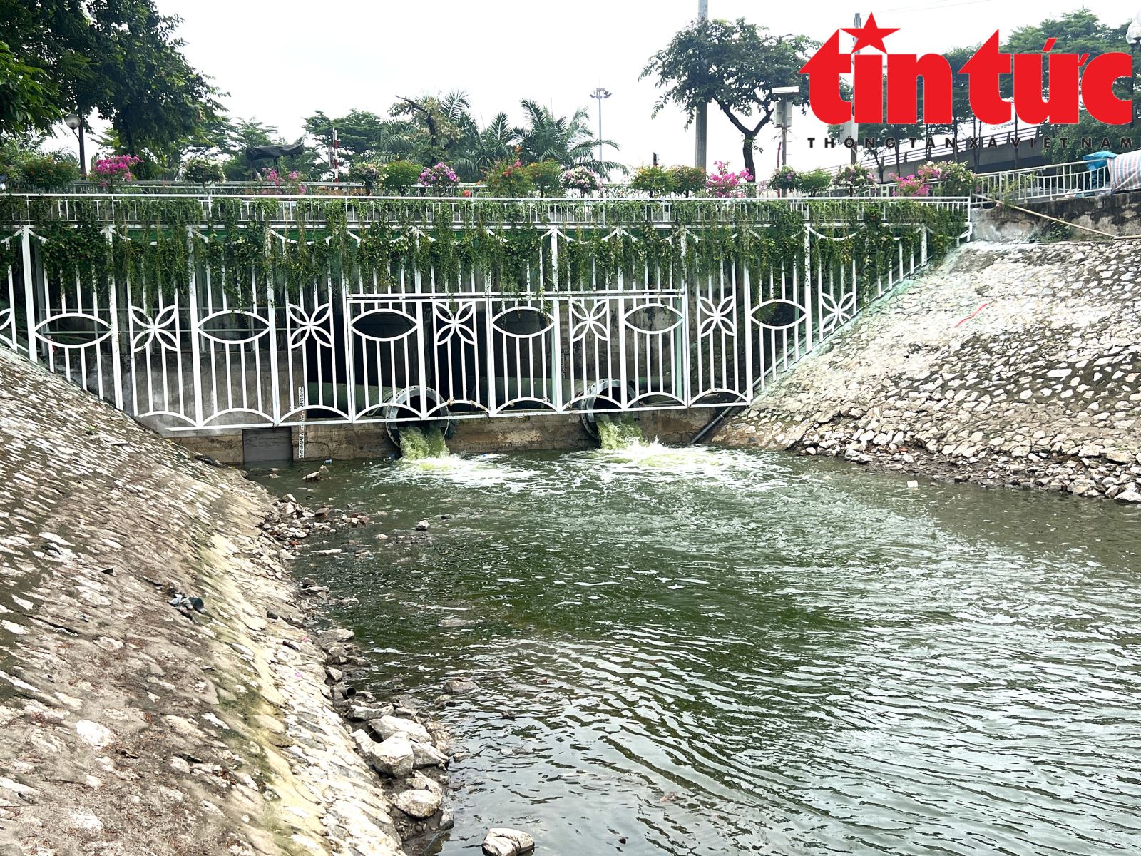 Chú thích ảnh