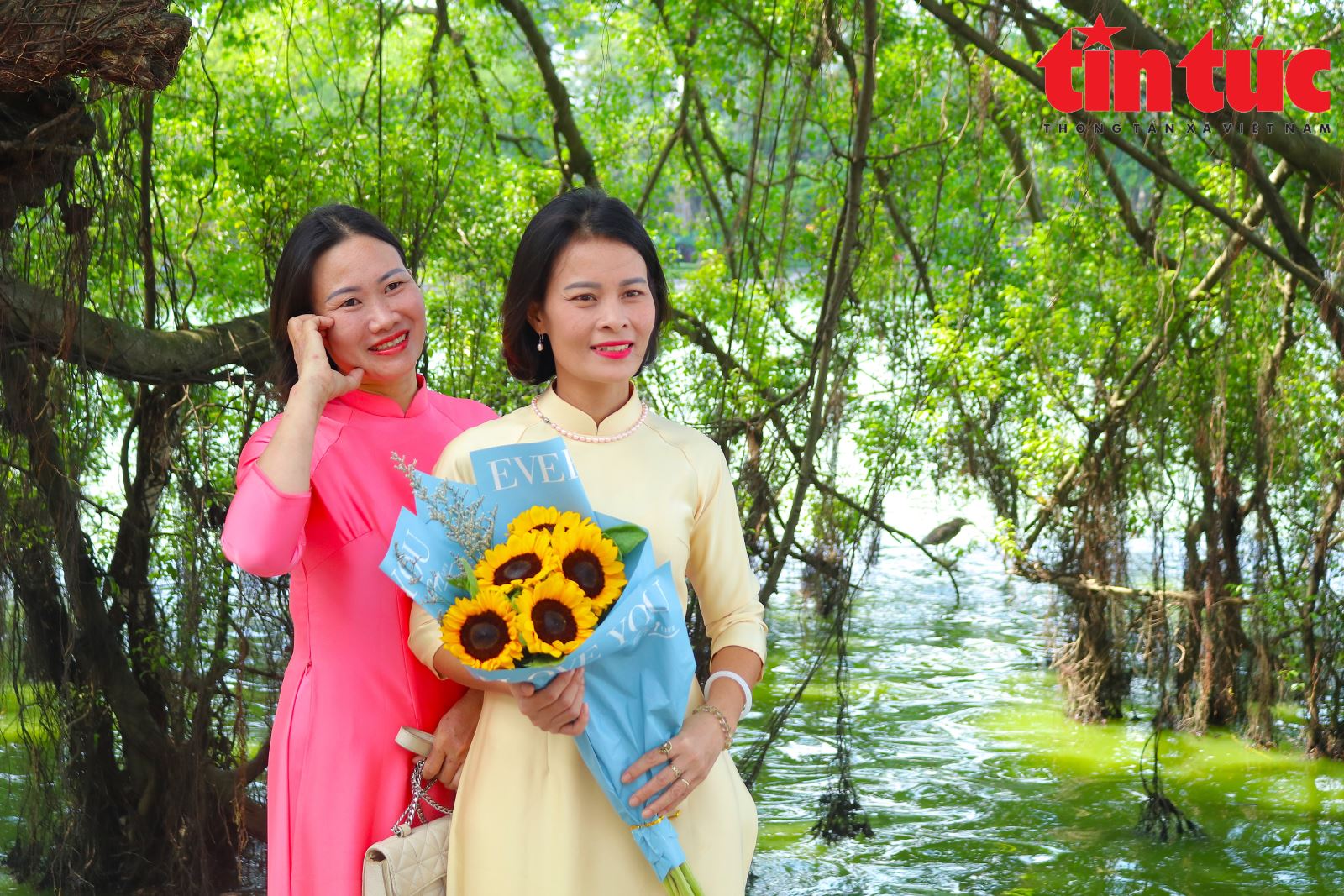 Chú thích ảnh