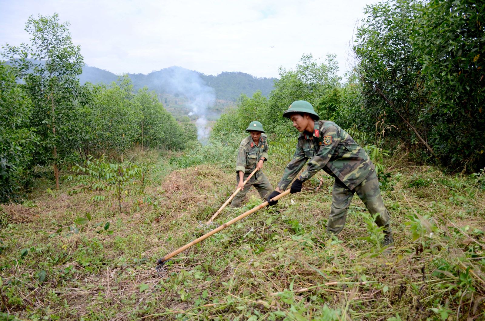 Chú thích ảnh