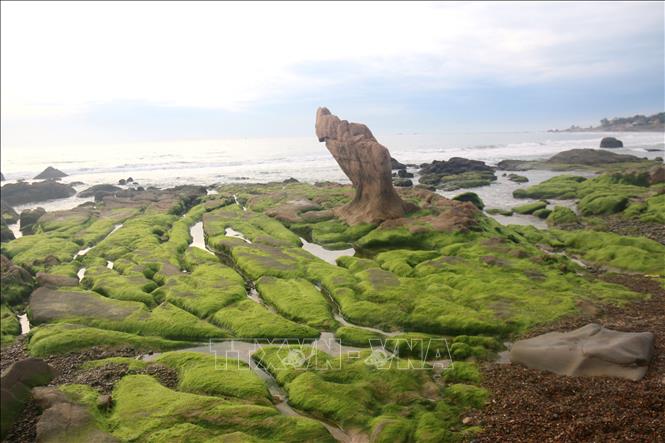 Bình Thuận là một trong những khu vực đẹp nhất của Việt Nam, với những bãi biển trắng tinh khôi và những bức tường đá đỏ nổi tiếng. Hãy xem những bức ảnh của nơi đây để cảm nhận được sức hút khó cưỡng của vùng đất này, nơi mà bạn sẽ bất ngờ với sự đa dạng và sự phong phú của thiên nhiên.