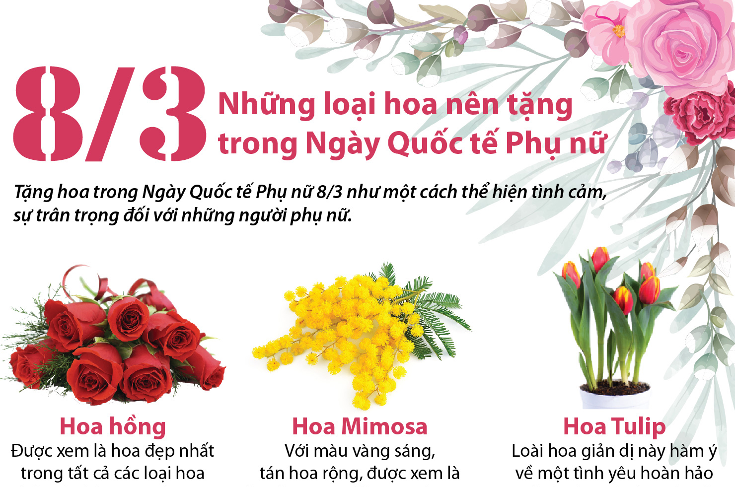 Những loại hoa nên tặng trong Ngày Quốc tế Phụ nữ 8/3 | baotintuc.vn