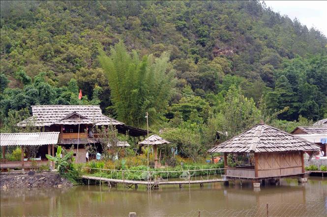 Trồng Chăm sóc Bảo vệ cảnh quan thiên nhiên dẫn đầu đợt bình chọn mô hình  môi trường xanh