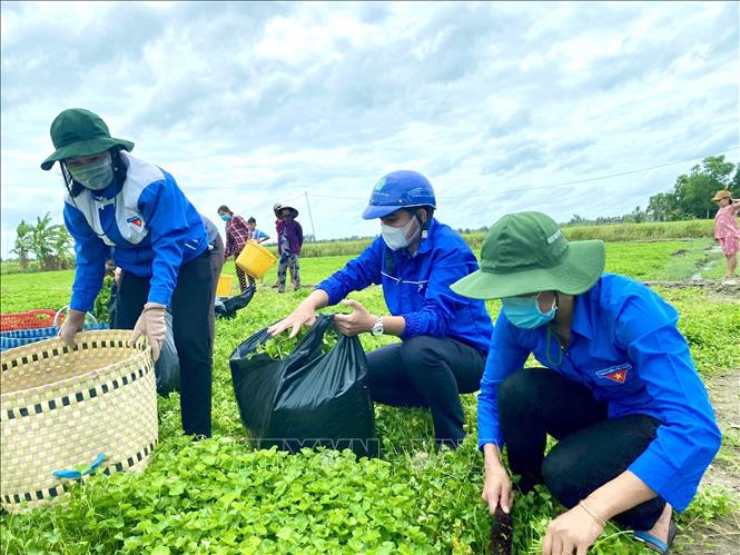 Dấu ấn tình nguyện của tuổi trẻ Việt Nam trên mặt trận chống dịch COVID-19  